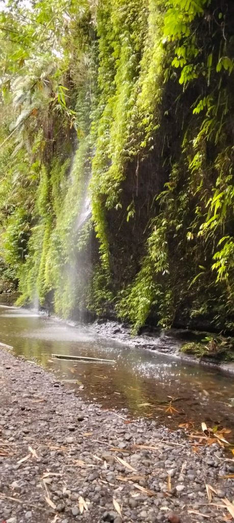 WhatsApp Image 2026 01 13 at 13.22.51