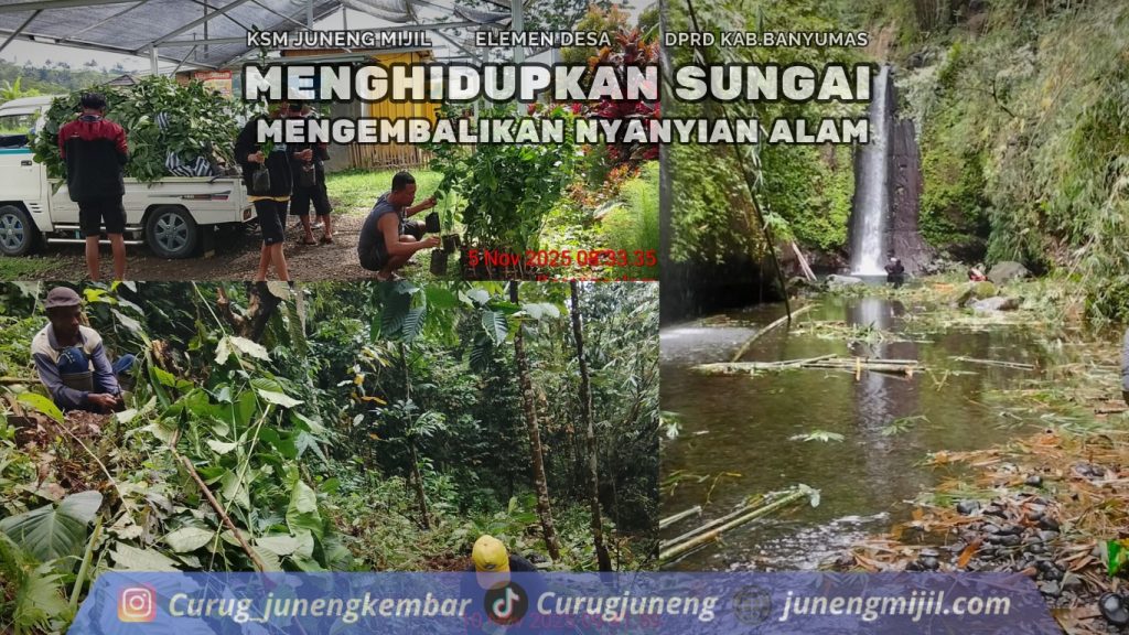 WhatsApp Image 2026 02 12 at 14.41.57